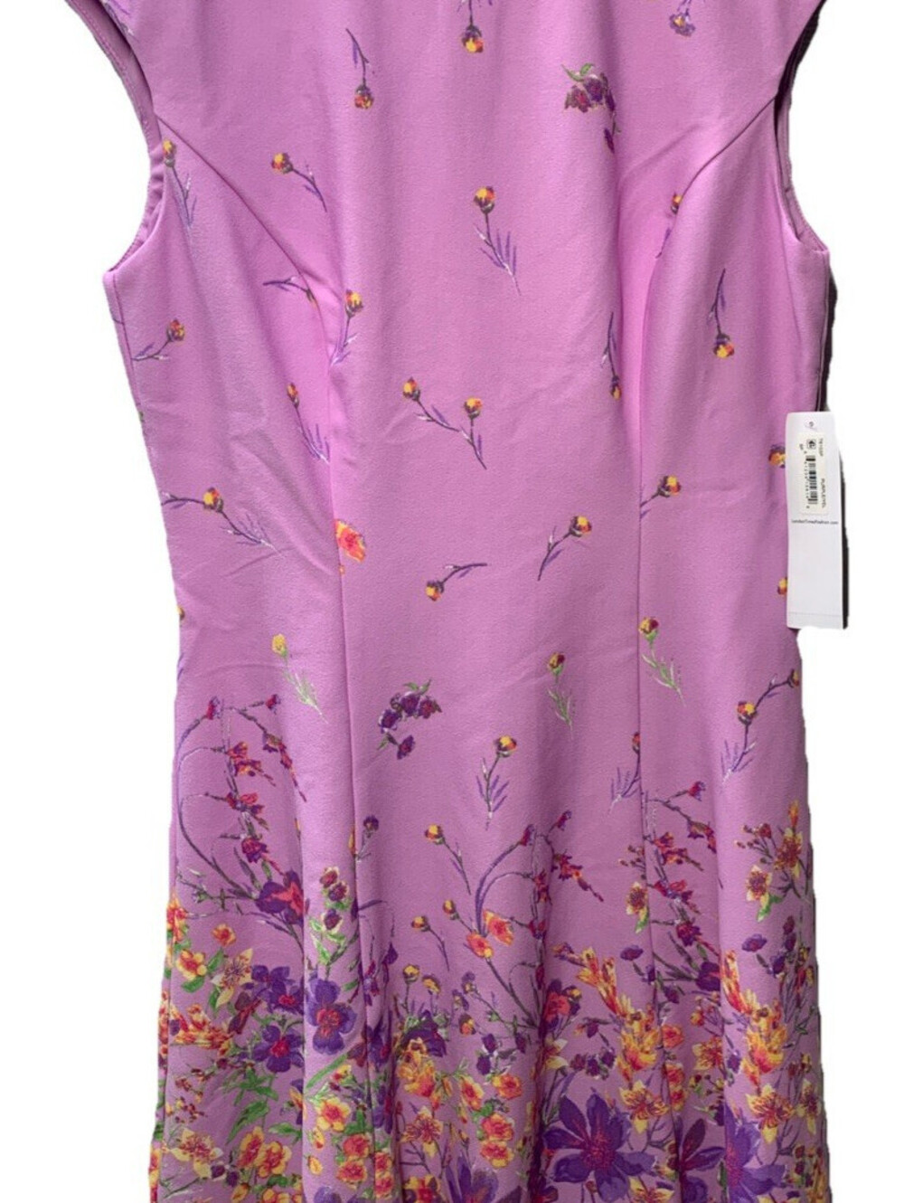 London Times Floral Border Cap Sleeve Fit & Flare Dress Rounded neckline Size 8P